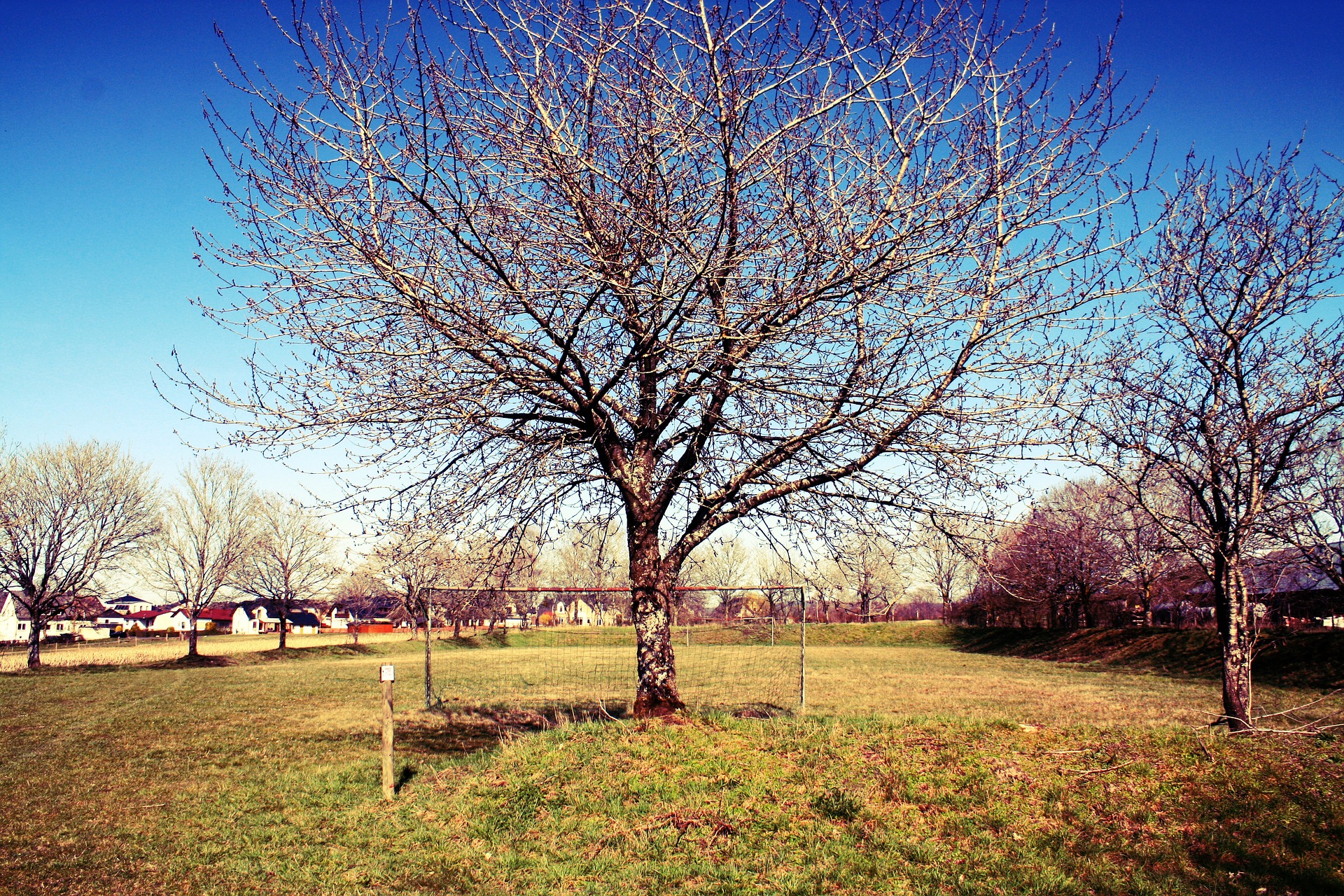 Hochwald